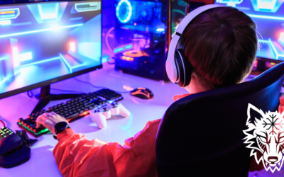 Er du bekymret for at ungdommen din gamer for mye? 
