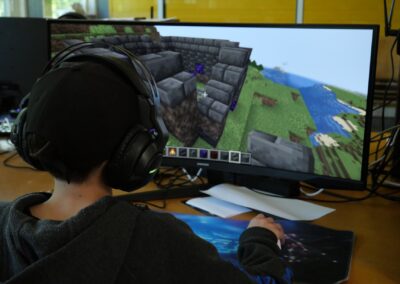 gaming hos Fimbul e-sport